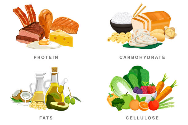 Examples of protein and carbohydrate food pairings